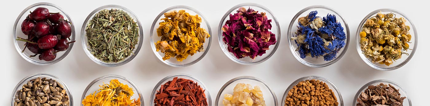 Ingredient in herbal supplement manufacturing process for custom blended and nutraceutical vitamin supplements. Assortment of dried herbs and flowers in glass bowls on a white backdrop.